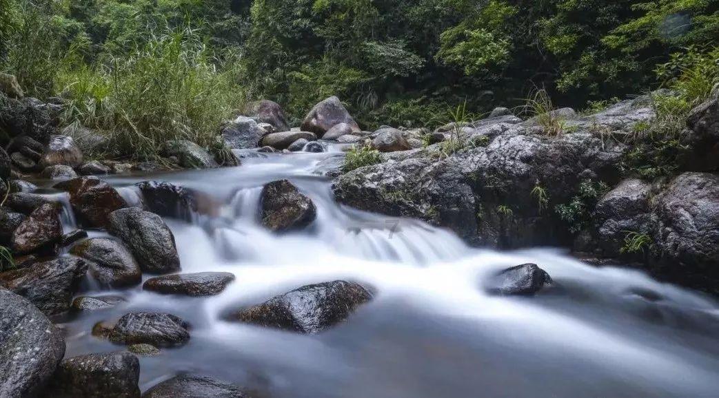 探索肥东鉴定古董的地方在哪的热议话题 - 肥东鉴定古董的地方在哪红迪网